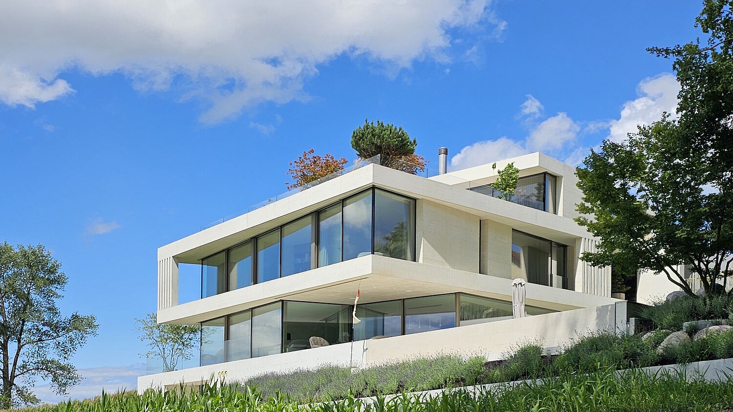 Neubau EFH, Bellikon
